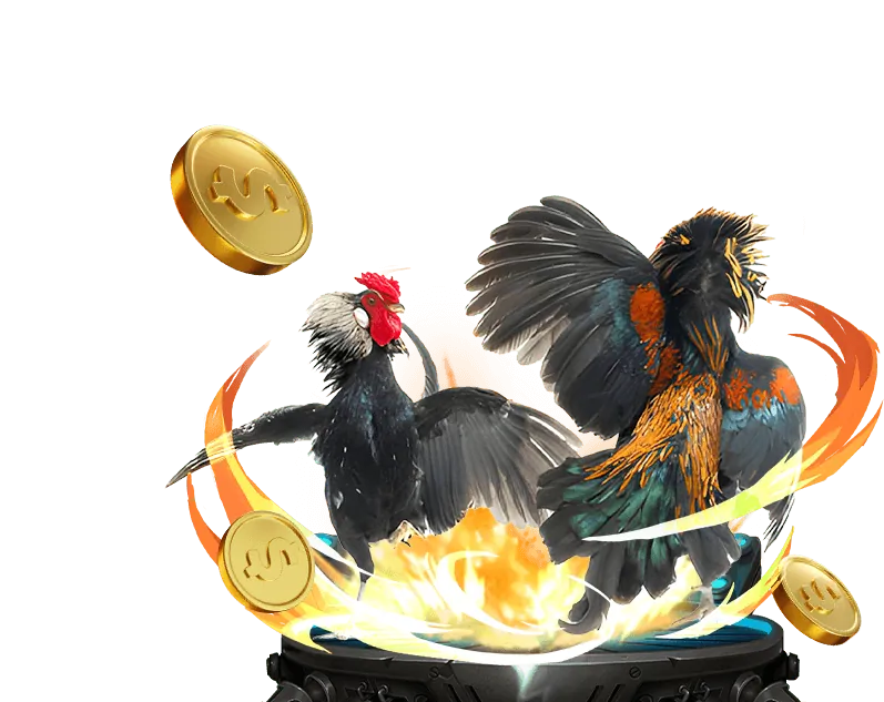 Các loại hình đá gà phổ biến tại vg99 login